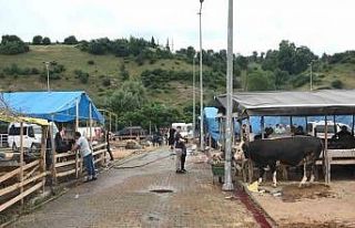 Elde kalan kurbanlıklar için besicilerin mesaisi...