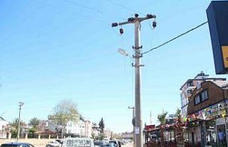 Elektrik teline konan papağanı kurtarmak isteyen...