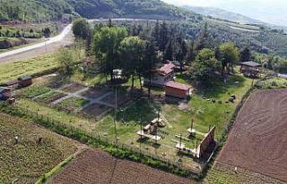 Emine Erdoğan’dan Canik Belediyesi’ne tebrik