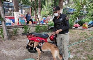 Emniyet uyuşturucu tacirlerine göz açtırmıyor