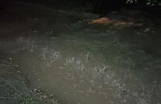 Erciş’te yağmur etkili oldu