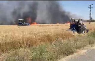 Ergani ilçesinde 60 dönüm ekili arazi küle döndü