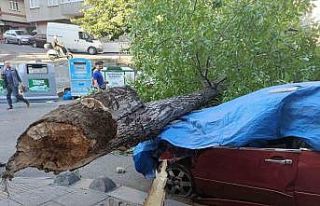 Esenler’de ceviz ağacı 2 aracın üstüne devrildi