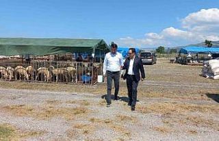 Eskişehir’de kurban kesim yerleri belli oldu
