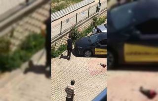 Evin bahçesine giren yılan paniğe neden oldu