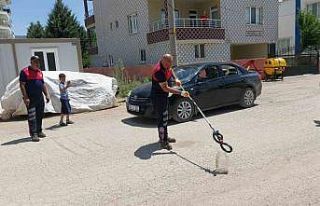 Evin bahçesine giren yılan yakalandı