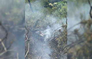 Fethiye’de çıkan orman yangını söndürüldü