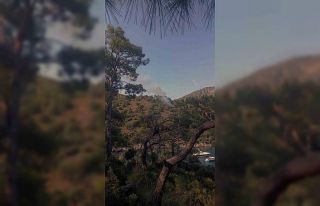 Fethiye’de orman yangını