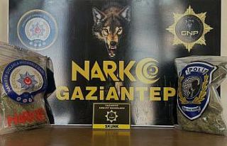 Gaziantep’te 2 kilo skunk ele geçirildi
