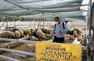 Gaziantep’te kurban bayramı tedbirleri aralıksız...