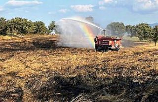 Gediz’de çıkan yangında 8 dekar buğday tarlası...