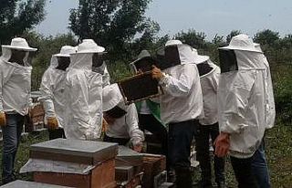 Genç arıcılara eğitim