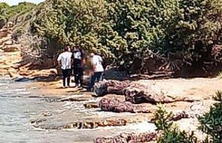 Genç kadın orman kampında ölü olarak bulundu