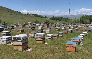 Göçer arıcıların mesaisi gecikmeli başladı