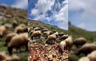 Göçerlere soğuk engeli