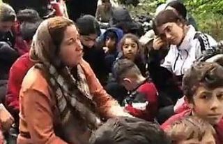 Göçmenler Yunanistan’da nehirdeki adacıkta mahsur...