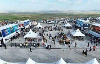 Gölbaşı Modern Kurban Satış ve Kesim Merkezi’nde...