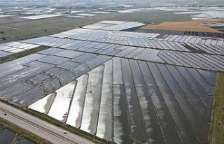 Gönen ve Manyas ovalarında çeltik ekimine başlandı