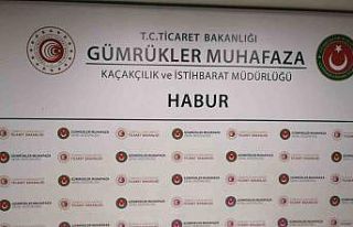 Habur Sınır Kapısı’nda bin 250 paket kaçak...
