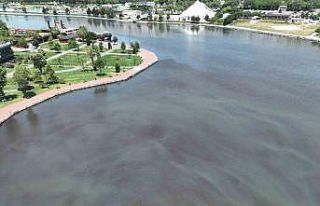 Haliç eski günlerine geri döndü: Haliç’i besleyen...