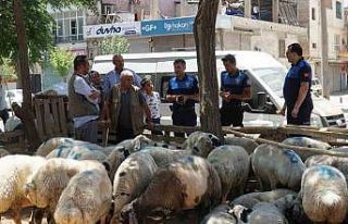 Haliliye Belediyesi kurban bayramında 635 personeliyle...