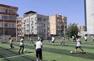 Haliliye’de gençler spor ve sanatla tanışıyor