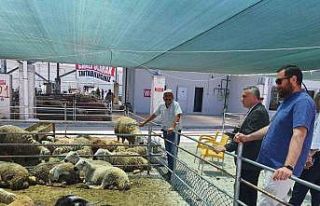 Halk Et Kombinası bayramda vatandaşın hizmetinde...