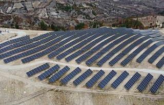 Hayat, enerjisini güneşten alıyor