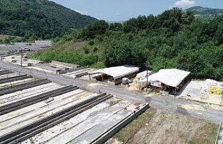 Hayvan pazarına ilk kurbanlıklar Diyarbakır’dan