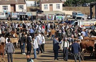 Hayvan pazarında hareketlilik başladı
