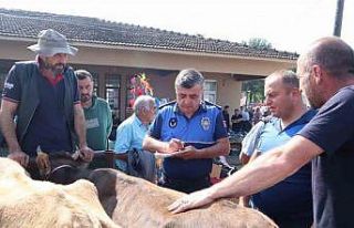 Hayvan sağlığı ve evrak denetimi yapıldı