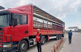 Hayvan taşıyan araçlar denetlendi