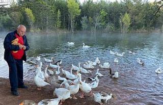 Hayvanları beslemeden spora başlamıyor