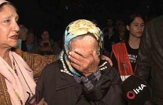 Hayvanseverler Kartal’da ezilerek öldürülen köpek...