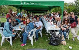 Hayvanseverler piknikte buluştu