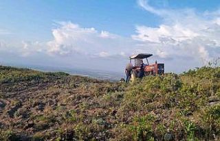 Hazineye ait arazide yol açarken yakalandılar