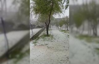 Haziran ayında etkili olan dolu yağışı vatandaşı...