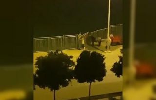 Hırsızlar şehrin göbeğinde sulama kanalının...