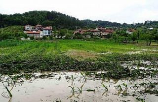 Hisarcık’ta sağanak yağış sonrası tarım arazileri...