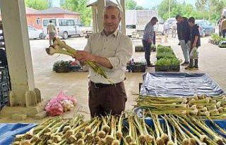 Hisarcık’ta yerli sarımsak çıktı, fiyatlar...