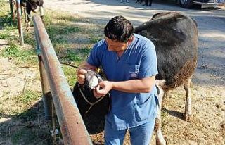 Hisarcık’ta zabıta ekiplerinden kurban satış...