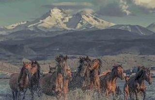 Hürmetçi Sazlığı Türkiye’nin bildiği tanıdığı...