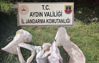 İğlek hırsızlarını jandarma yakaladı