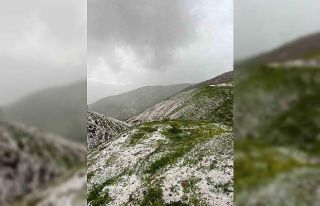 İliç’te sağanak ve dolu yağışı etkili oldu