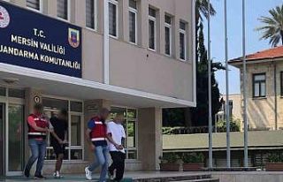 İnternet üzerinden ucuz araç vaadi dolandırıcılarına...