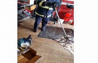 İş yerine giren yılanı itfaiye ekipleri yakaladı