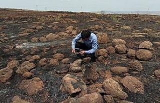 İslahiye’deki tarla yangını en büyük darbeyi...