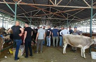 Isparta’da Kurban Bayramı’na saatler kala kurbanlık...