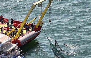 İstanbul çevresinde 9 yılda 334 bin metrekare hayalet...