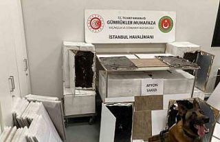 İstanbul Havalimanı’na kargoyla gelen suntalardan...